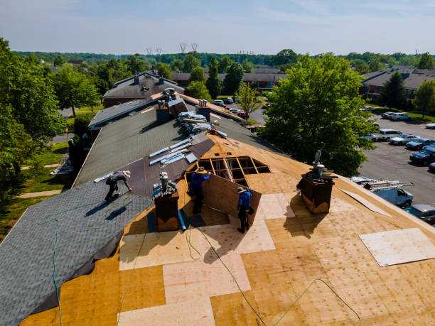 Trusted Flat Roof Repair service in Nunn, CO - Brentwood Metal Roofing